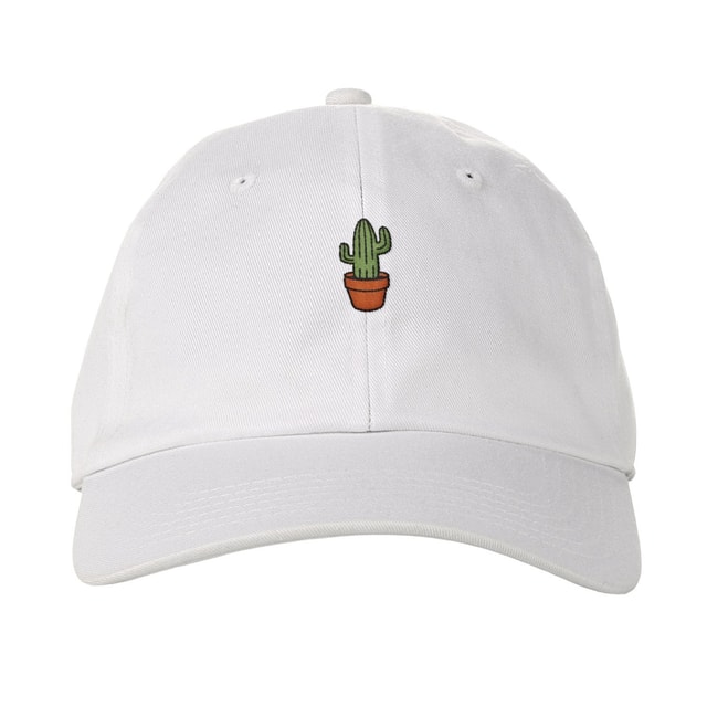 Cactus Dad hat