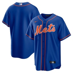 Men's Baseball team Royal Alternate Team Jersey