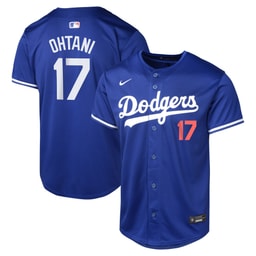 Youth Baseball team Baseball player Royal Alternate Limited Jersey