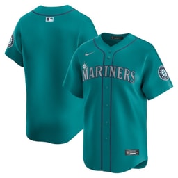 Baseball team Alternate Limited Men's Jersey - Aqua