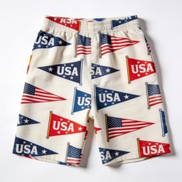 Pennant Shorts - USA